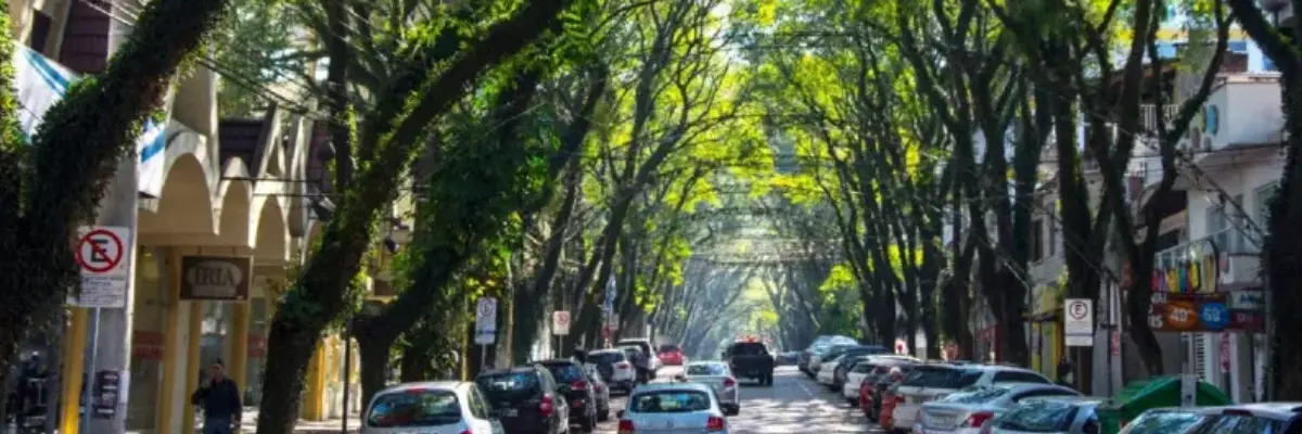 Imagem do Túnel Verde em Santa Cruz do Sul. 