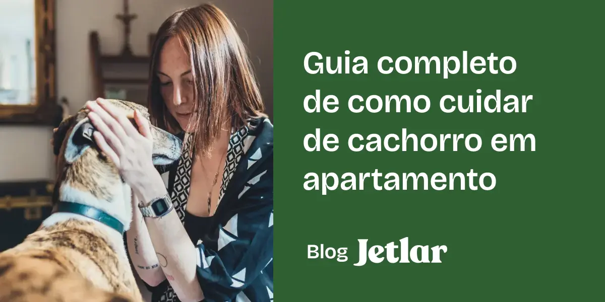 Guia completo de como cuidar de cachorro em apartamento